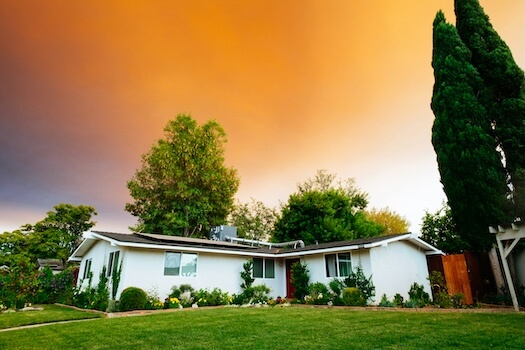 Estate Cleanout Scenarios